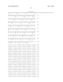 Simian Adenovirus Nucleic Acid and Amino Acid Sequences, Vectors     Containing Same, and Methods of Use diagram and image