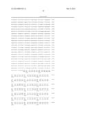 Simian Adenovirus Nucleic Acid and Amino Acid Sequences, Vectors     Containing Same, and Methods of Use diagram and image