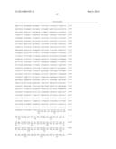 Simian Adenovirus Nucleic Acid and Amino Acid Sequences, Vectors     Containing Same, and Methods of Use diagram and image