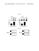 Tendon Stem Cells diagram and image