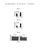 Tendon Stem Cells diagram and image