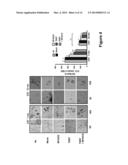 COMPOSITIONS AND METHODS FOR MESENCHYMAL/STROMAL STEM CELL REJUVENATION     AND TISSUE REPAIR BY ENHANCED CO-EXPRESSION OF TELOMERASE AND MYOCARDIN diagram and image