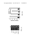 JAK/STAT INHIBITORS AND MAPK/ERK INHIBITORS FOR RSV INFECTION diagram and image