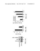 JAK/STAT INHIBITORS AND MAPK/ERK INHIBITORS FOR RSV INFECTION diagram and image