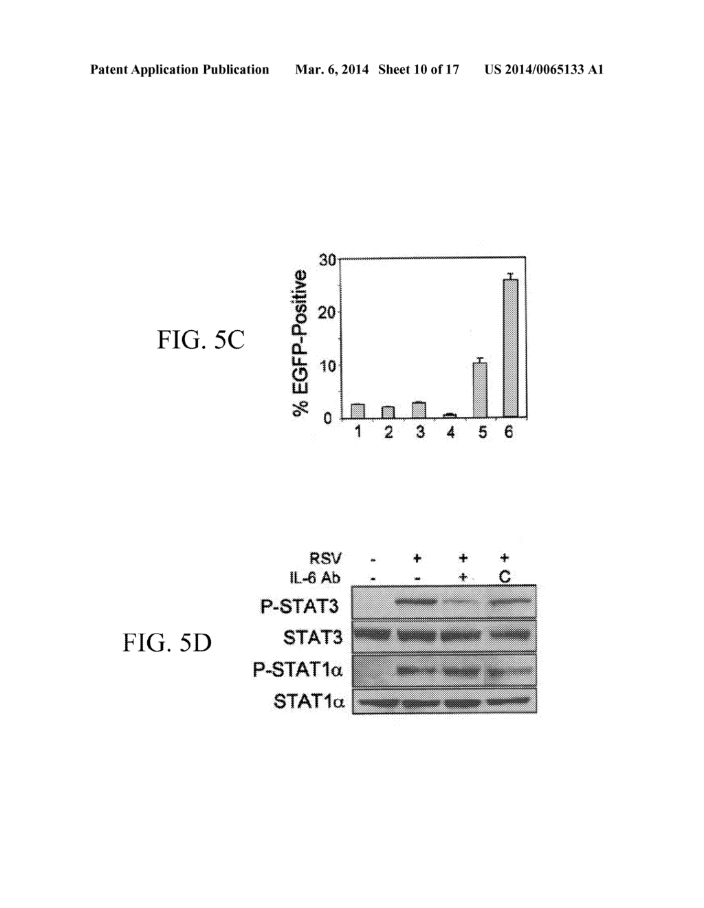 JAK/STAT INHIBITORS AND MAPK/ERK INHIBITORS FOR RSV INFECTION - diagram, schematic, and image 11