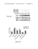 JAK/STAT INHIBITORS AND MAPK/ERK INHIBITORS FOR RSV INFECTION diagram and image