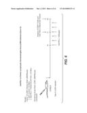 METHODS OF USING ANTI-PD-L1 ANTIBODIES AND THEIR USE TO ENHANCE T-CELL     FUNCTION TO TREAT TUMOR IMMUNITY diagram and image