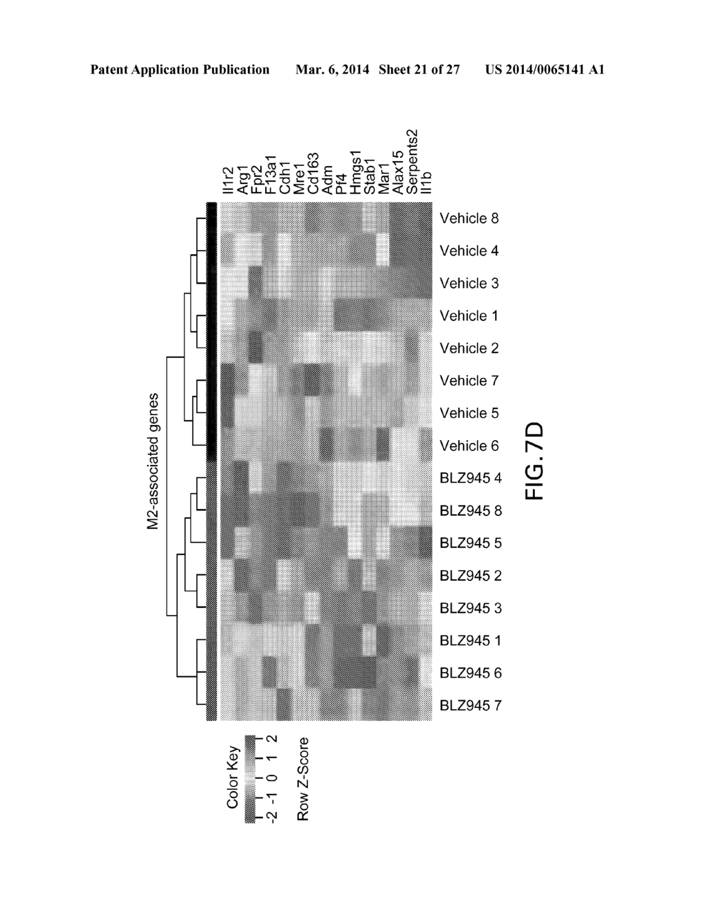 CSF-1R INHIBITORS FOR TREATMENT OF BRAIN TUMORS - diagram, schematic, and image 22