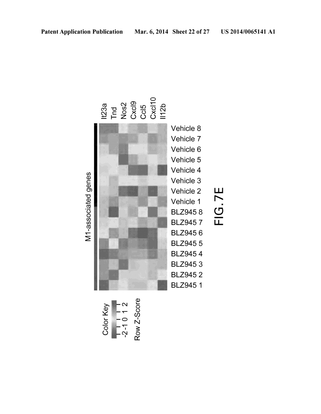 CSF-1R INHIBITORS FOR TREATMENT OF BRAIN TUMORS - diagram, schematic, and image 23