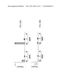 YEAST-BASED THERAPEUTIC FOR CHRONIC HEPATITIS B INFECTION diagram and image