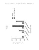 YEAST-BASED THERAPEUTIC FOR CHRONIC HEPATITIS B INFECTION diagram and image