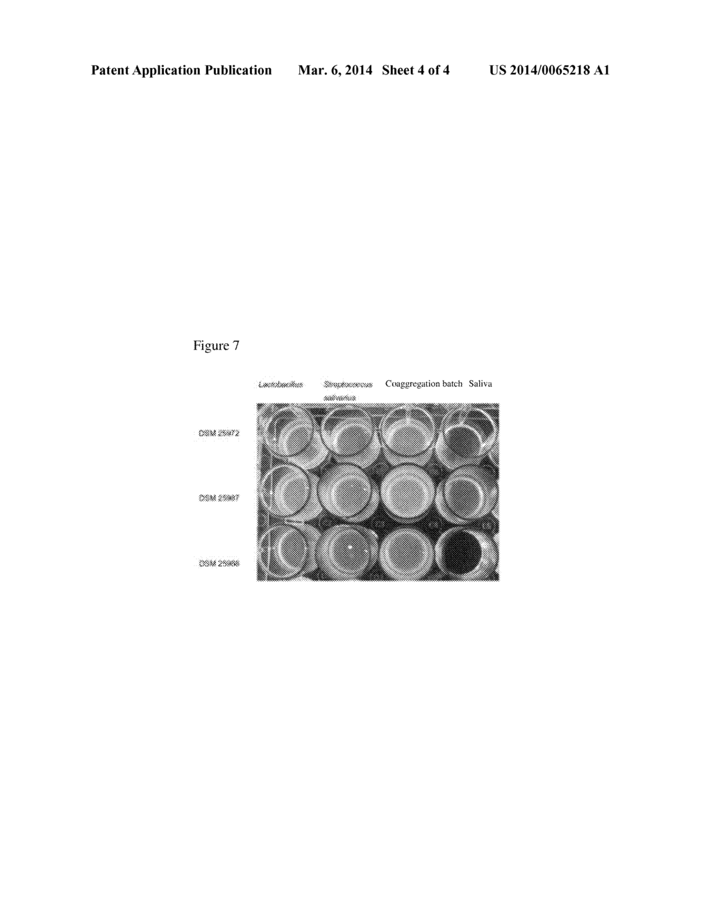 NOVEL LACTIC ACID BACTERIA AND COMPOSITIONS CONTAINING THEM AGAINST     BACTERIAL COLDS - diagram, schematic, and image 05