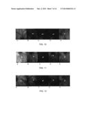 THERMO-RESPONSIVE HYDROGEL COMPOSITIONS diagram and image