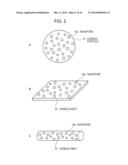 FUEL CELL, METHOD FOR PRODUCING FUEL CELL, ELECTRONIC APPARATUS,     NICOTINAMIDE ADENINE DINUCLEOTIDE-IMMOBILIZED ELECTRODE, NICOTINAMIDE     ADENINE DINUCLEOTIDE-IMMOBILIZED CARRIER, ENZYME REACTION UTILIZATION     DEVICE, PROTEIN-IMMOBILIZED ELECTRODE AND PROTEIN-IMMOBILIZED CARRIER diagram and image