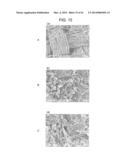 FUEL CELL, METHOD FOR PRODUCING FUEL CELL, ELECTRONIC APPARATUS,     NICOTINAMIDE ADENINE DINUCLEOTIDE-IMMOBILIZED ELECTRODE, NICOTINAMIDE     ADENINE DINUCLEOTIDE-IMMOBILIZED CARRIER, ENZYME REACTION UTILIZATION     DEVICE, PROTEIN-IMMOBILIZED ELECTRODE AND PROTEIN-IMMOBILIZED CARRIER diagram and image