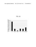 FUEL CELL, METHOD FOR PRODUCING FUEL CELL, ELECTRONIC APPARATUS,     NICOTINAMIDE ADENINE DINUCLEOTIDE-IMMOBILIZED ELECTRODE, NICOTINAMIDE     ADENINE DINUCLEOTIDE-IMMOBILIZED CARRIER, ENZYME REACTION UTILIZATION     DEVICE, PROTEIN-IMMOBILIZED ELECTRODE AND PROTEIN-IMMOBILIZED CARRIER diagram and image