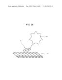 FUEL CELL, METHOD FOR PRODUCING FUEL CELL, ELECTRONIC APPARATUS,     NICOTINAMIDE ADENINE DINUCLEOTIDE-IMMOBILIZED ELECTRODE, NICOTINAMIDE     ADENINE DINUCLEOTIDE-IMMOBILIZED CARRIER, ENZYME REACTION UTILIZATION     DEVICE, PROTEIN-IMMOBILIZED ELECTRODE AND PROTEIN-IMMOBILIZED CARRIER diagram and image