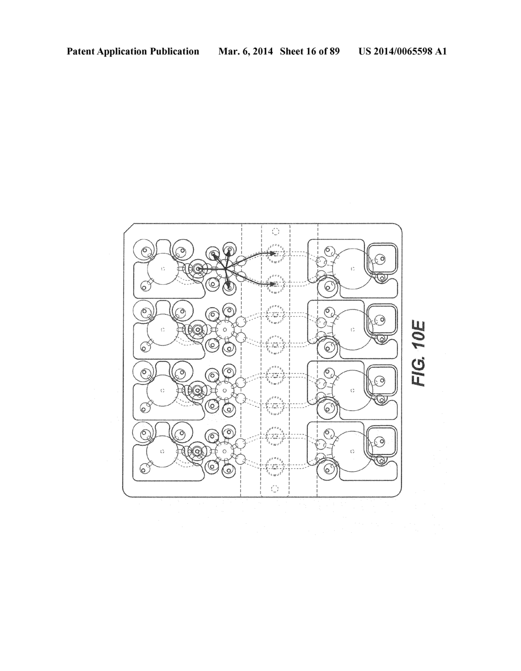 SELF-CONTAINED BIOLOGICAL ASSAY APPARATUS, METHODS, AND APPLICATIONS - diagram, schematic, and image 17