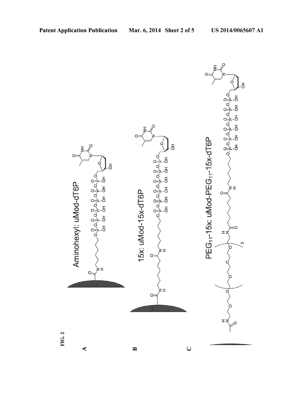 PHOSPHOLINK NUCLEOTIDES FOR SEQUENCING APPLICATIONS - diagram, schematic, and image 03