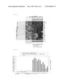 MARKER GENE FOR DETECTION OF TUMOR PROMOTER, AND METHOD FOR DETECTION OF     TUMOR PROMOTER diagram and image