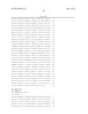 MARKER GENE FOR DETECTION OF TUMOR PROMOTER, AND METHOD FOR DETECTION OF     TUMOR PROMOTER diagram and image