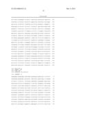 MARKER GENE FOR DETECTION OF TUMOR PROMOTER, AND METHOD FOR DETECTION OF     TUMOR PROMOTER diagram and image