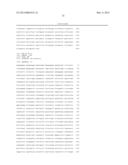 MARKER GENE FOR DETECTION OF TUMOR PROMOTER, AND METHOD FOR DETECTION OF     TUMOR PROMOTER diagram and image