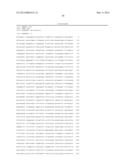 MARKER GENE FOR DETECTION OF TUMOR PROMOTER, AND METHOD FOR DETECTION OF     TUMOR PROMOTER diagram and image