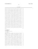 MARKER GENE FOR DETECTION OF TUMOR PROMOTER, AND METHOD FOR DETECTION OF     TUMOR PROMOTER diagram and image