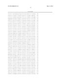 MARKER GENE FOR DETECTION OF TUMOR PROMOTER, AND METHOD FOR DETECTION OF     TUMOR PROMOTER diagram and image