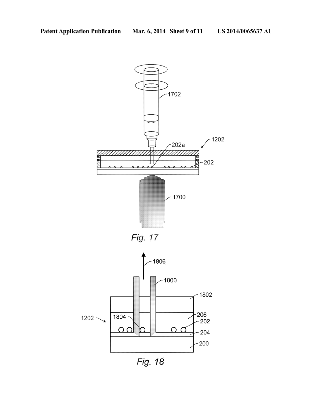 Determining Information for Cells - diagram, schematic, and image 10