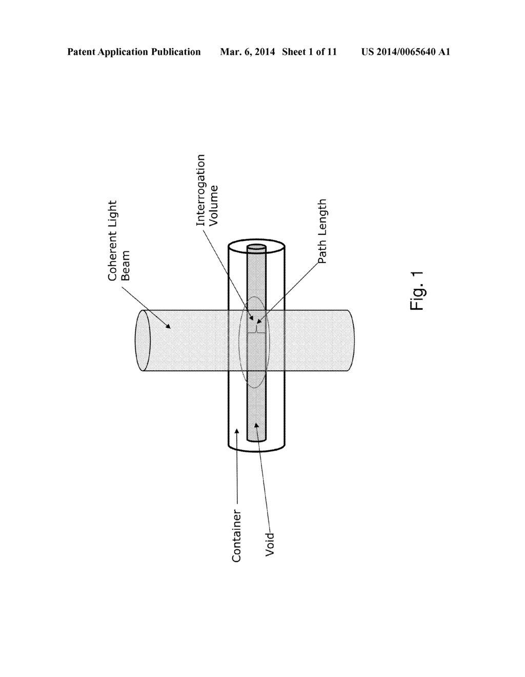 Interferometric Detection Using Nanoparticles - diagram, schematic, and image 02