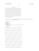 NUCLEIC ACIDS ENCODING A G-PROTEIN COUPLED RECEPTOR INVOLVED IN SENSORY     TRANSDUCTION diagram and image