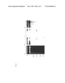 PLASMID-ENCODED NEUROTOXIN GENES IN CLOSTRIDIUM BOTULINUM SEROTYPE A     SUBTYPES diagram and image