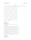 ANTIBODY MOLECULES WHICH BIND IL-17A AND IL-17F diagram and image