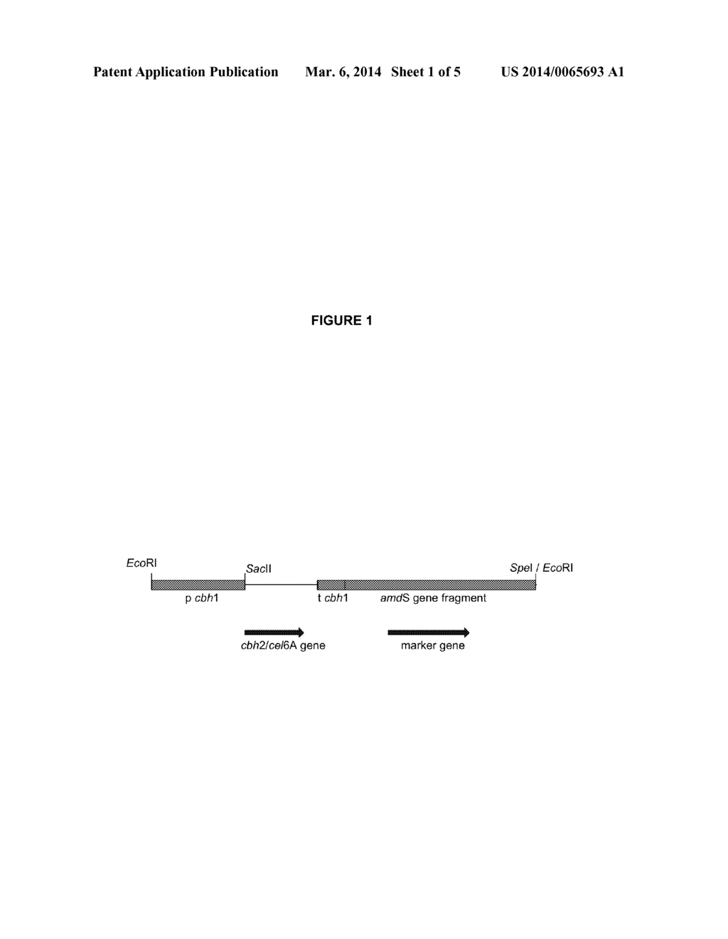 Method for treating cellulosic material and CBHII/CEL6A enzymes useful     therein - diagram, schematic, and image 02