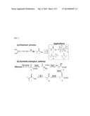 CELLS AND METHODS FOR PRODUCING ISOBUTYRIC ACID diagram and image