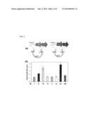 CELLS AND METHODS FOR PRODUCING ISOBUTYRIC ACID diagram and image