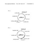 CELLS AND METHODS FOR PRODUCING ISOBUTYRIC ACID diagram and image