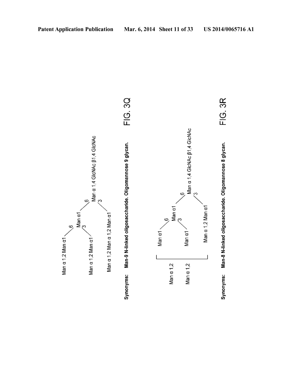 MULTI-DIMENSIONAL CHROMATOGRAPHIC METHODS FOR SEPARATING N-GLYCANS - diagram, schematic, and image 12