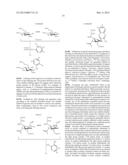 MULTI-DIMENSIONAL CHROMATOGRAPHIC METHODS FOR SEPARATING N-GLYCANS diagram and image