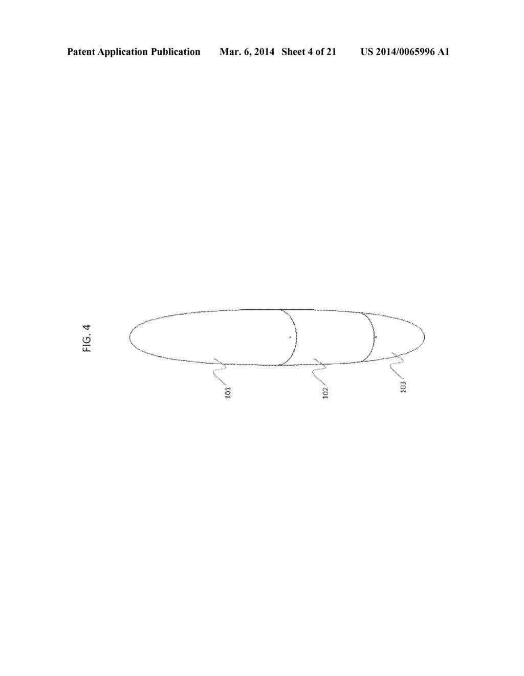 SYSTEM AND METHOD FOR PAYLOAD ENCLOSURE - diagram, schematic, and image 05