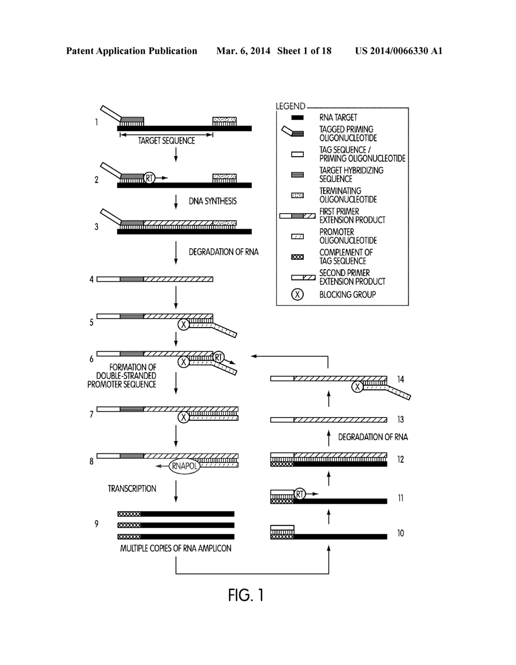 TAGGED OLIGONUCLEOTIDES AND THEIR USE IN NUCLEIC ACID AMPLIFICATION     METHODS - diagram, schematic, and image 02