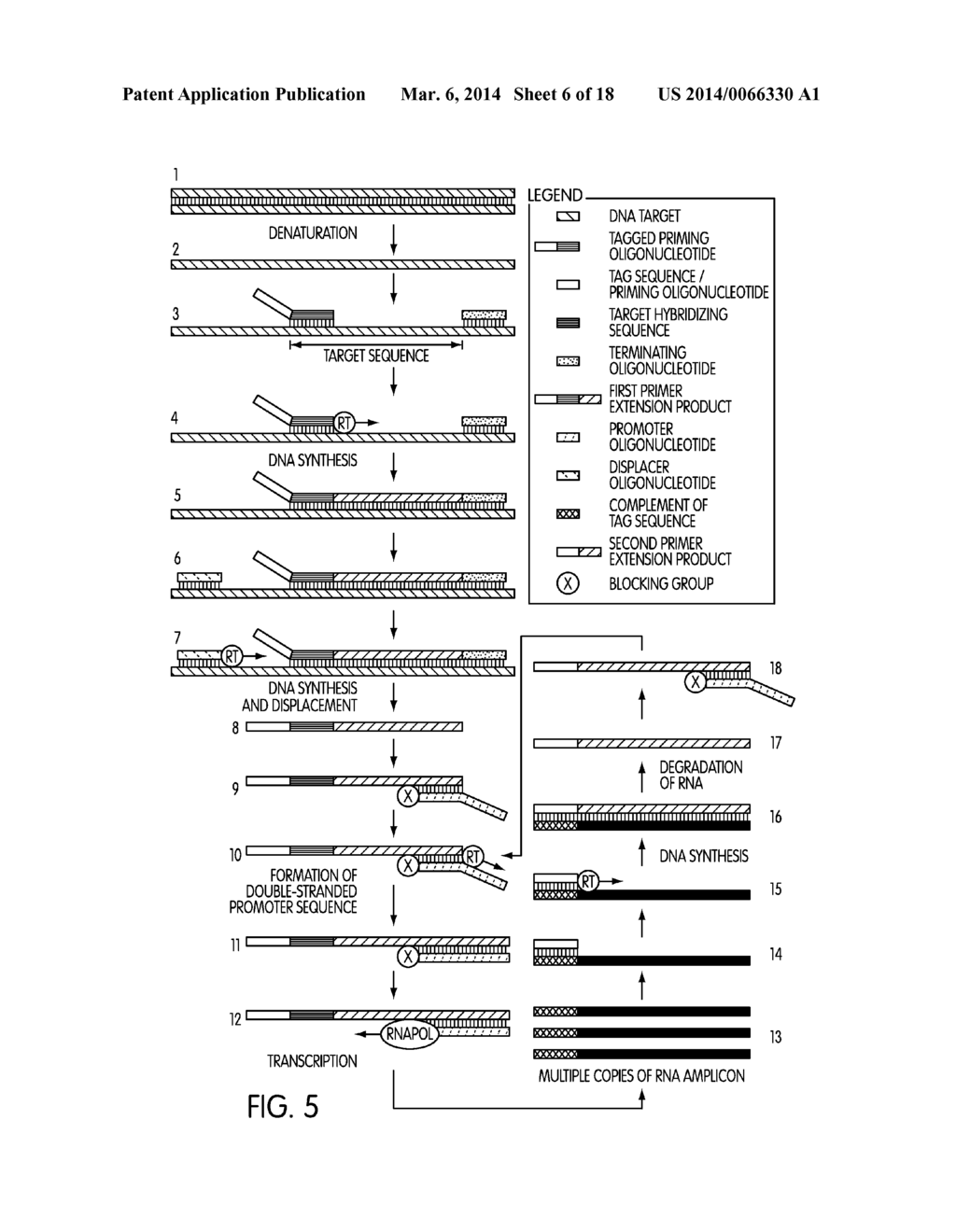 TAGGED OLIGONUCLEOTIDES AND THEIR USE IN NUCLEIC ACID AMPLIFICATION     METHODS - diagram, schematic, and image 07