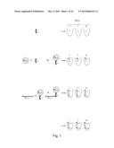 TEMPLATE DIRECTED SPLIT AND MIX SYNTHESIS OF SMALL MOLECULE LIBRARIES diagram and image