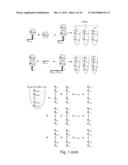 TEMPLATE DIRECTED SPLIT AND MIX SYNTHESIS OF SMALL MOLECULE LIBRARIES diagram and image