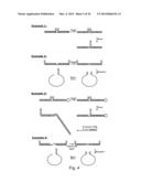 TEMPLATE DIRECTED SPLIT AND MIX SYNTHESIS OF SMALL MOLECULE LIBRARIES diagram and image