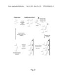 TEMPLATE DIRECTED SPLIT AND MIX SYNTHESIS OF SMALL MOLECULE LIBRARIES diagram and image