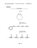 TEMPLATE DIRECTED SPLIT AND MIX SYNTHESIS OF SMALL MOLECULE LIBRARIES diagram and image