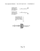 TEMPLATE DIRECTED SPLIT AND MIX SYNTHESIS OF SMALL MOLECULE LIBRARIES diagram and image